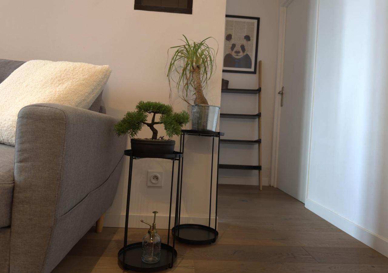 French Loft - Central & Comfy Annecy Exterior foto